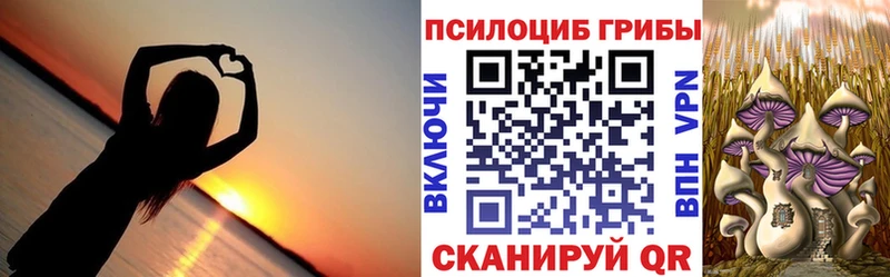 блэк спрут вход Чистополь Псилоцибиновые грибы Cubensis