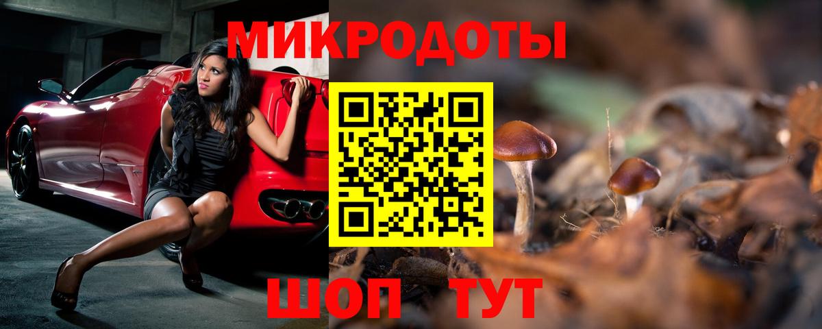 Галлюциногенные грибы Psilocybine cubensis  Вход с VPN  Чистополь 