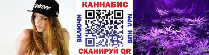 Бошки Шишки планчик  продажа наркотиков  Чистополь 